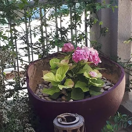 דירה Kate-mari House Skala (Kefalonia)