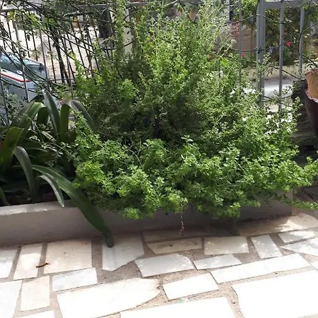 Kate-mari House Skala (Kefalonia)